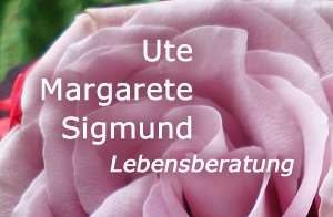 link-logo_sigmund01